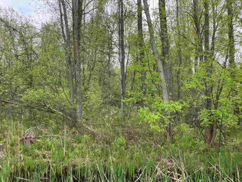 3.96 Acres W Isabella Road, Midland MI 48640 photo 2