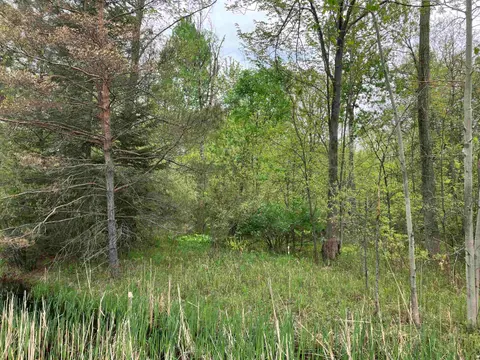 3.96 Acres W Isabella Road, Midland MI 48640 photo 3