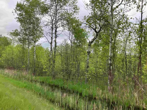 3.96 Acres W Isabella Road, Midland MI 48640 photo 5