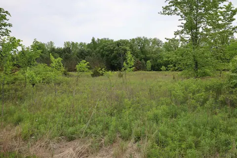 VL Beyer Road, Birch Run MI 48415 photo 2