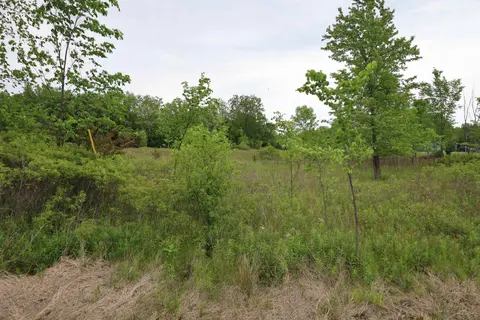 VL Beyer Road, Birch Run MI 48415 photo 3