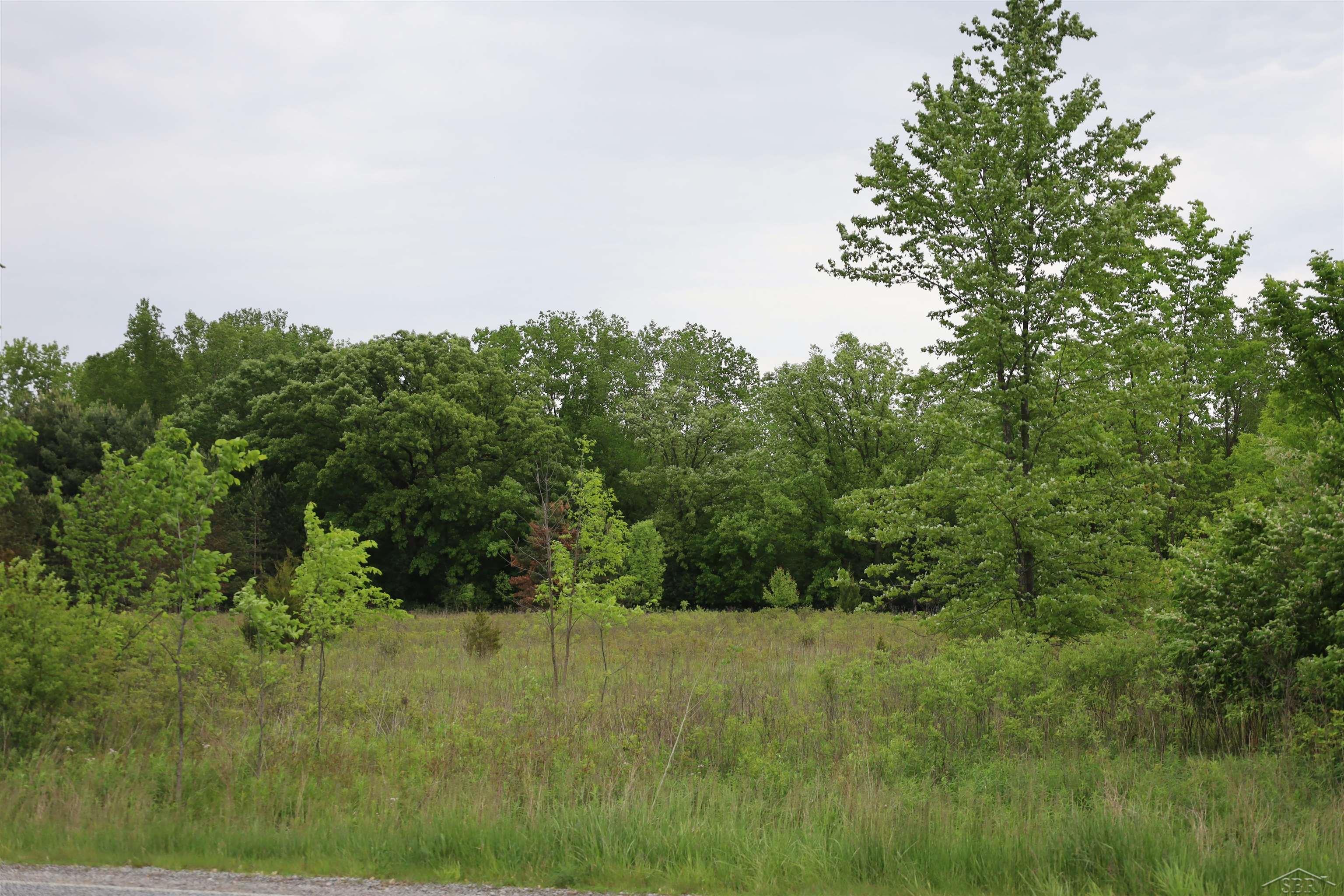 VL Beyer Road, Birch Run MI 48415 photo 1