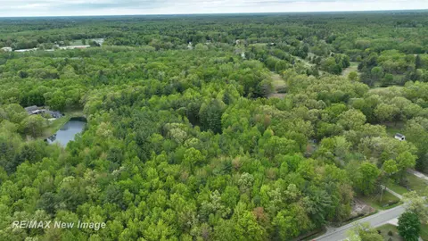 12000 W Townline Road, Saint Charles MI 48655 photo 2