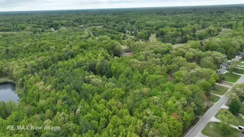 12000 W Townline Road, Saint Charles MI 48655 photo 3