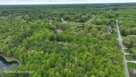 12000 W Townline Road, Saint Charles MI 48655 photo 4