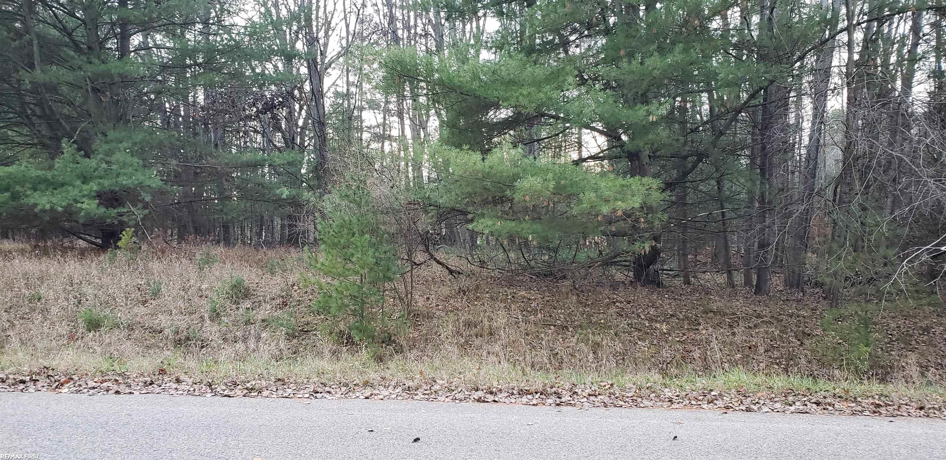 Robindale Way, Gladwin MI 48624 photo 1