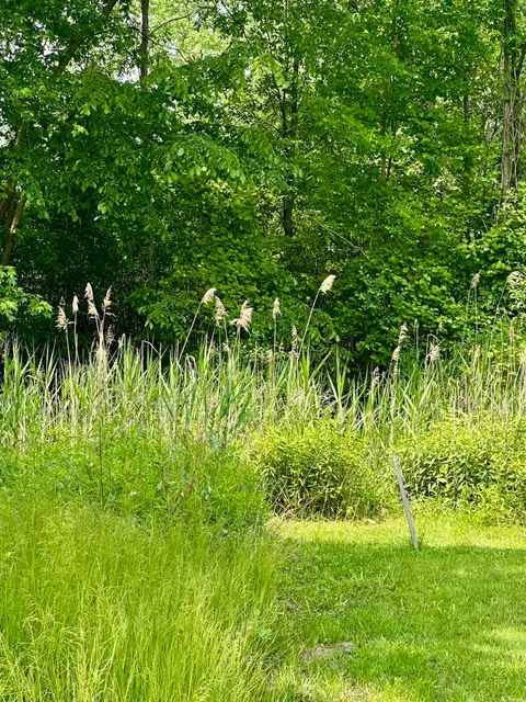 V/L Ledyard Road, Essexville MI 48732 photo 4