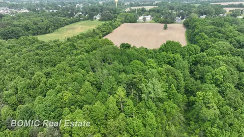 VL Fulmer Road, Millington MI 48746 photo 2