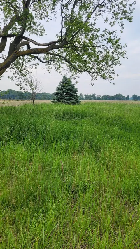 2305 W Juddville Road, Owosso MI 48867 photo 1