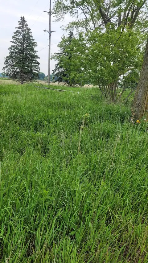 2305 W Juddville Road, Owosso MI 48867 photo 3