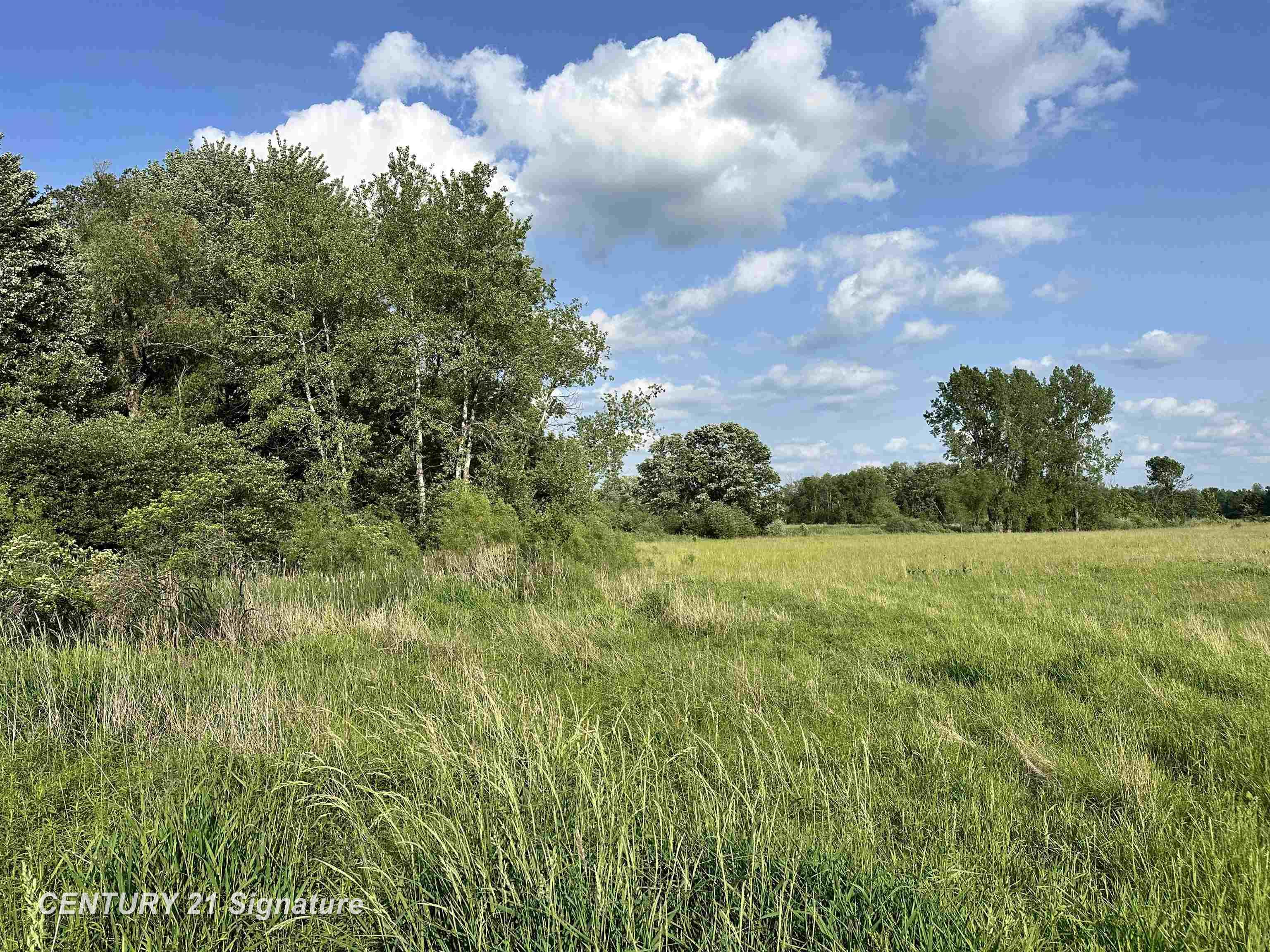60 Estey Road, Beaverton MI 48612 photo 1