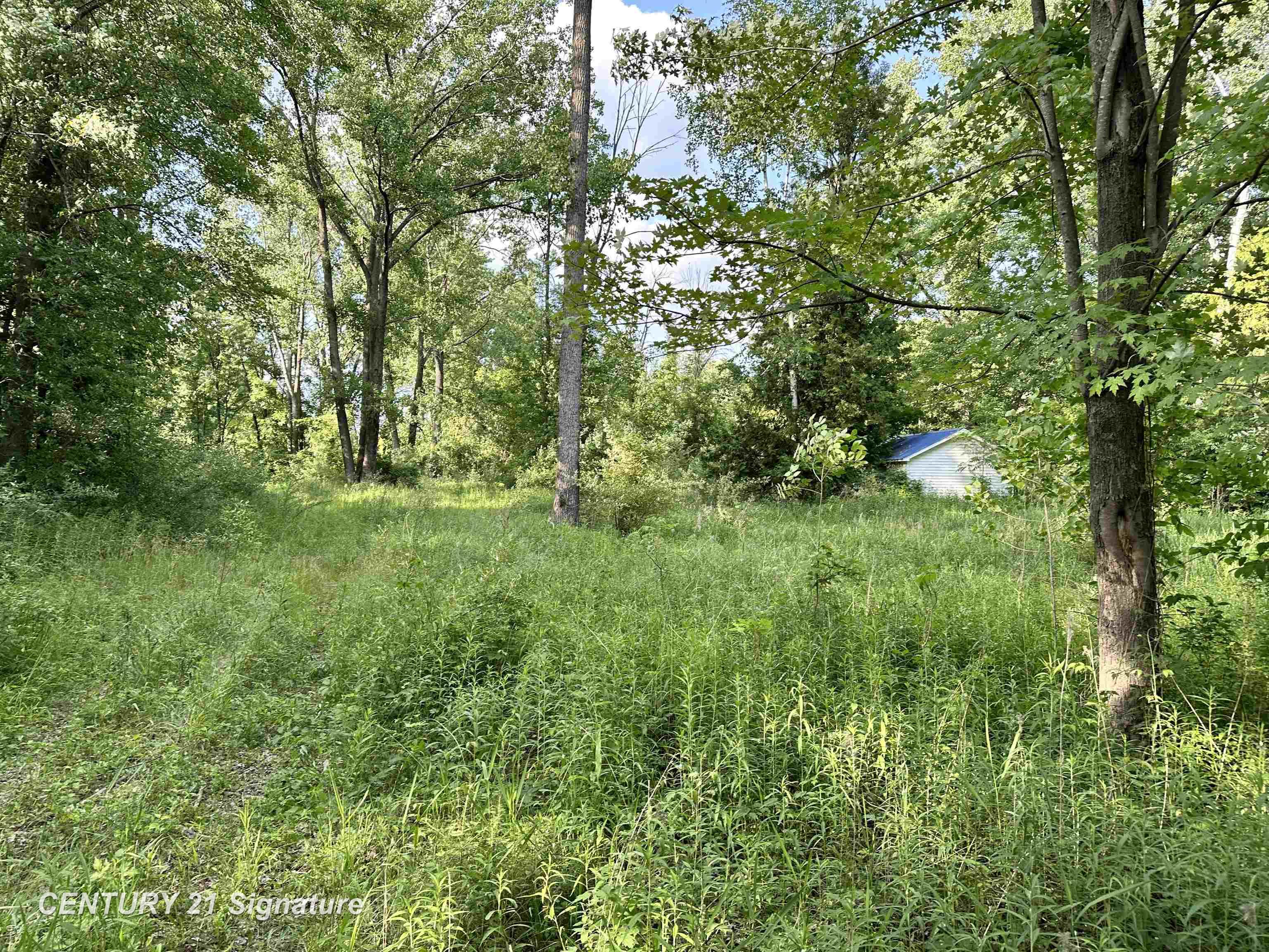 4020 Wieman Road, Beaverton MI 48612 photo 1