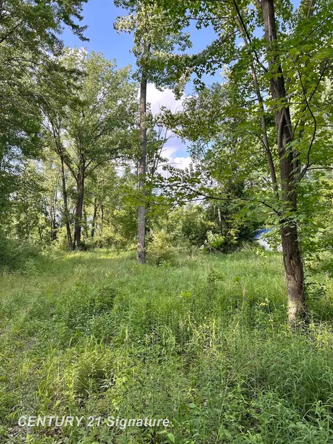 4020 Wieman Road, Beaverton MI 48612 photo 2