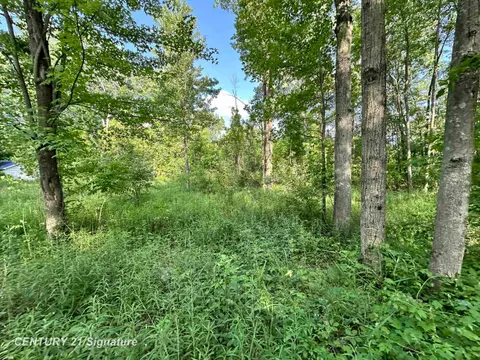 4020 Wieman Road, Beaverton MI 48612 photo 5