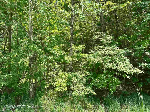 VL Pinconning Road, Beaverton MI 48612 photo 1