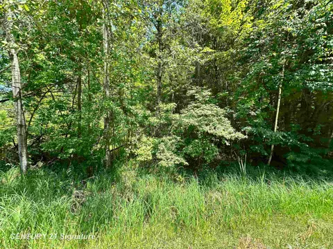 VL Pinconning Road, Beaverton MI 48612 photo 2
