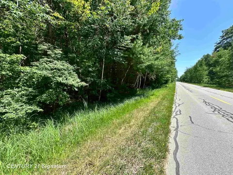 VL Pinconning Road, Beaverton MI 48612 photo 3