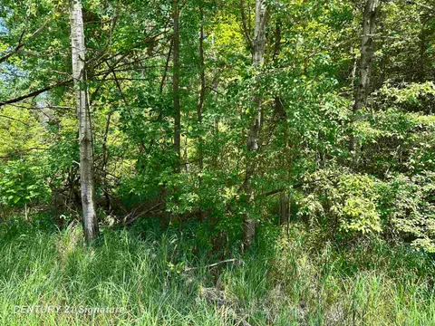 VL Pinconning Road, Beaverton MI 48612 photo 4