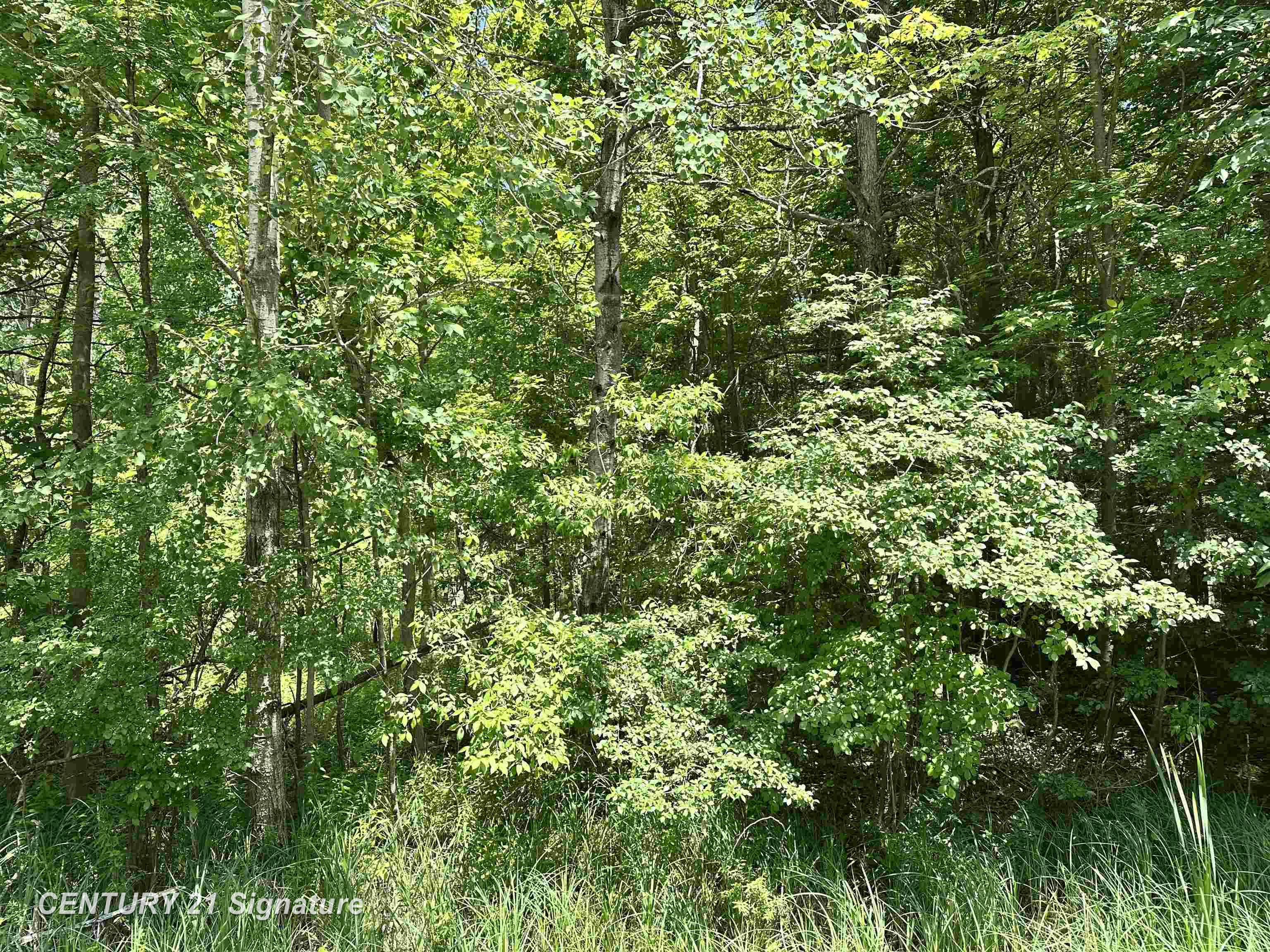 VL Pinconning Road, Beaverton MI 48612 photo 1