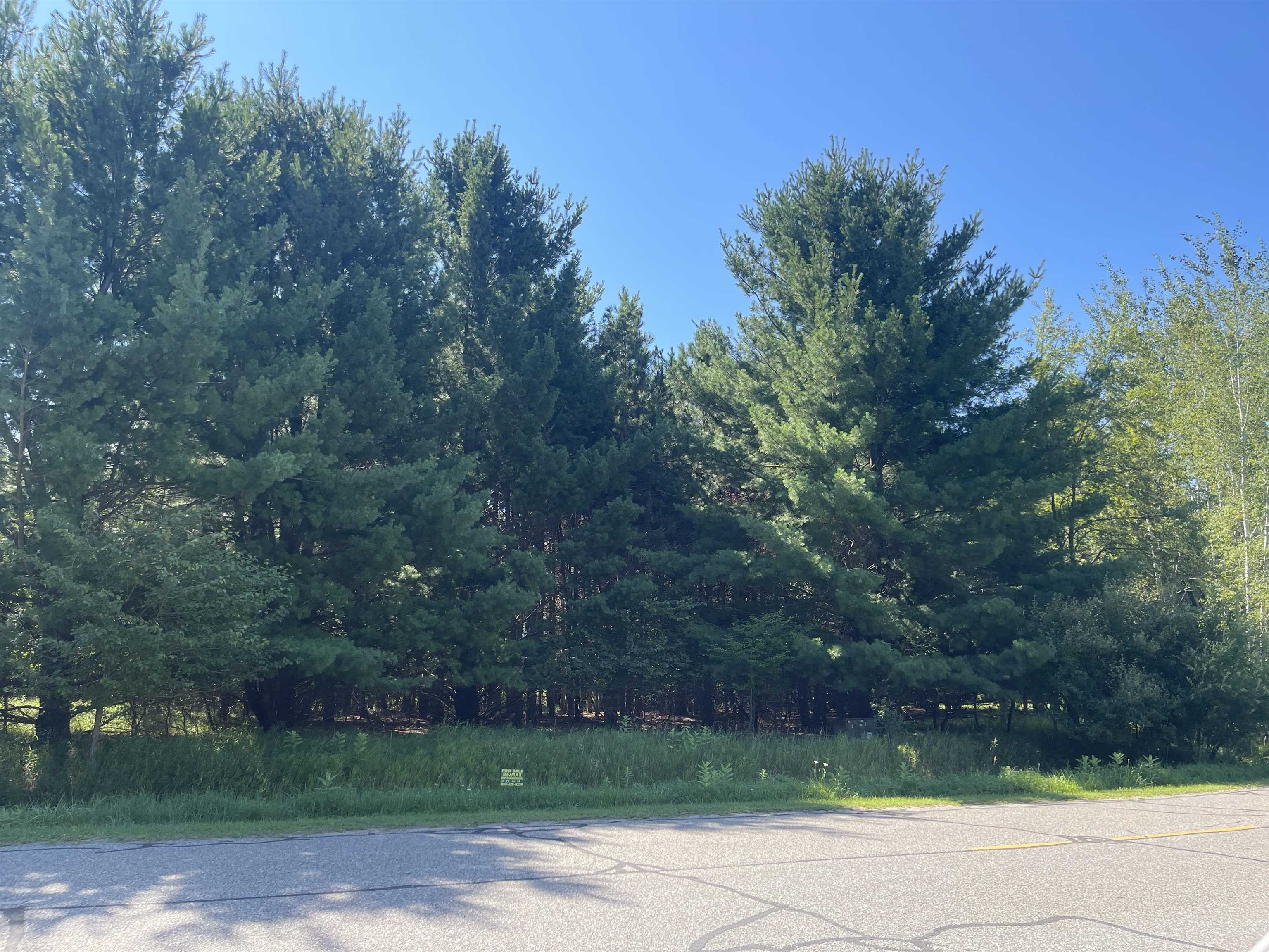 97 Salisbury Drive, Gladwin MI 48624 photo 1