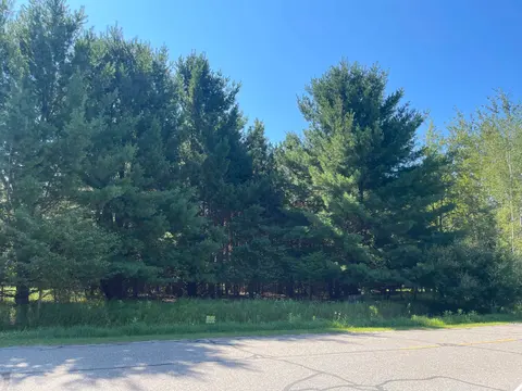 97 Salisbury Drive, Gladwin MI 48624 photo 1