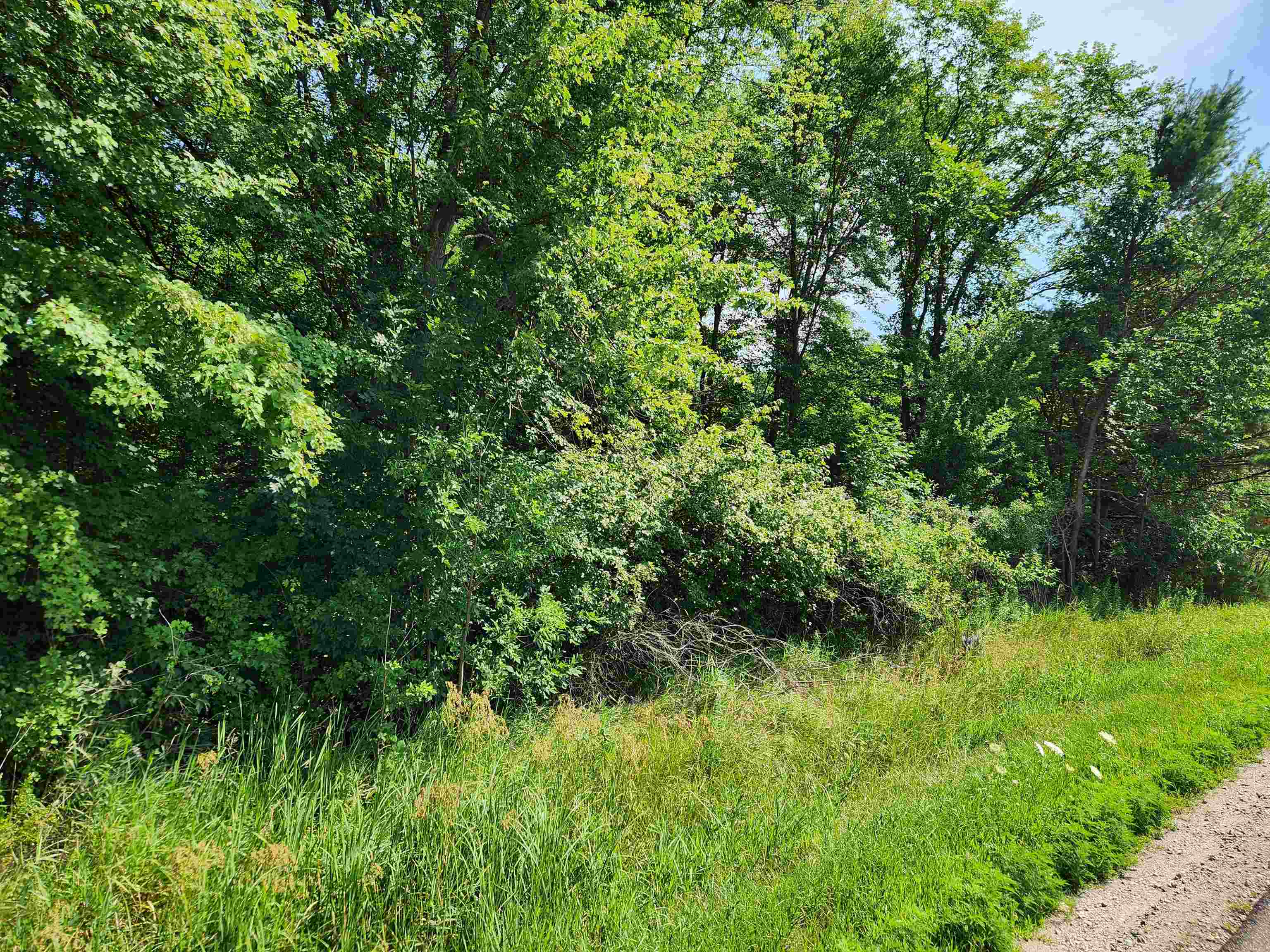 10 Acres Beaverton Road, Beaverton MI 48612 photo 1