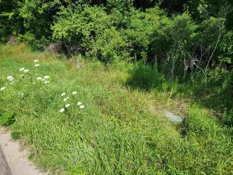 10 Acres Beaverton Road, Beaverton MI 48612 photo 3