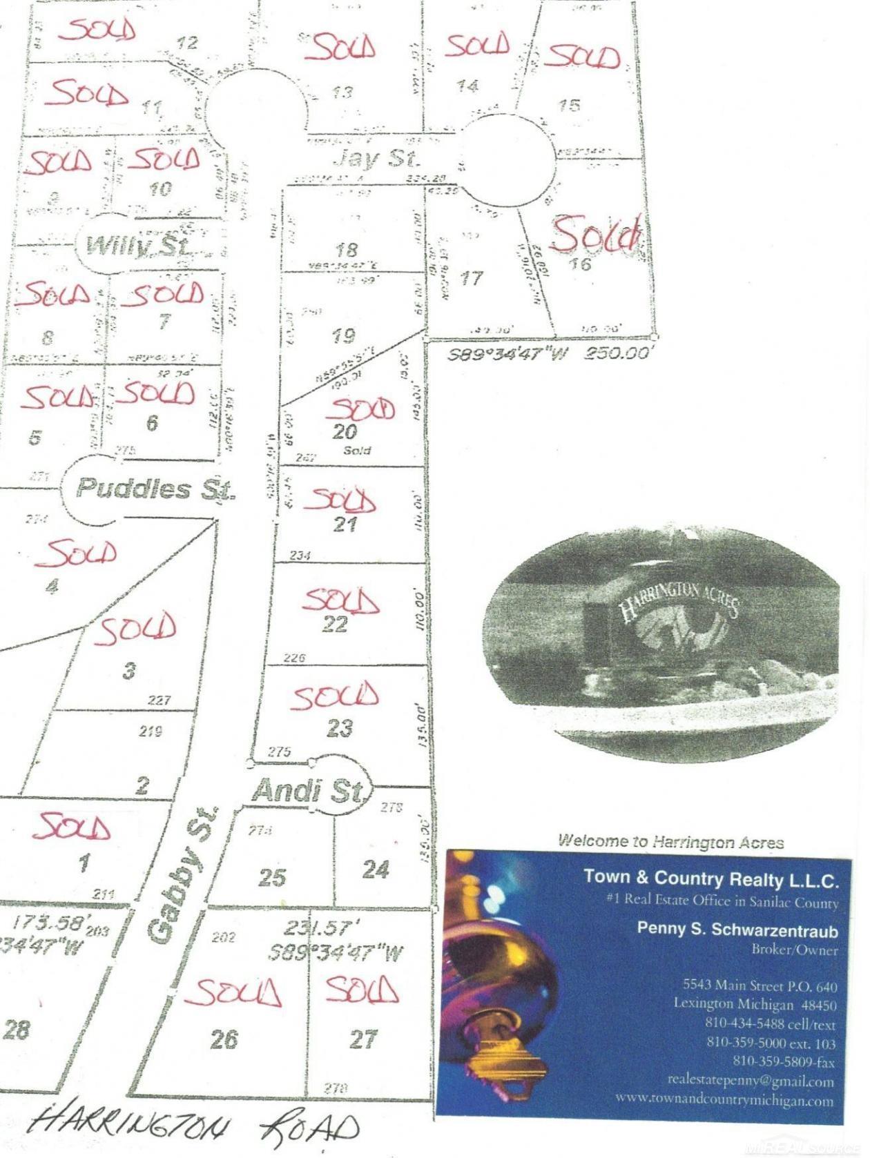 Lot #17 Jay Street, Croswell MI 48422 photo 1