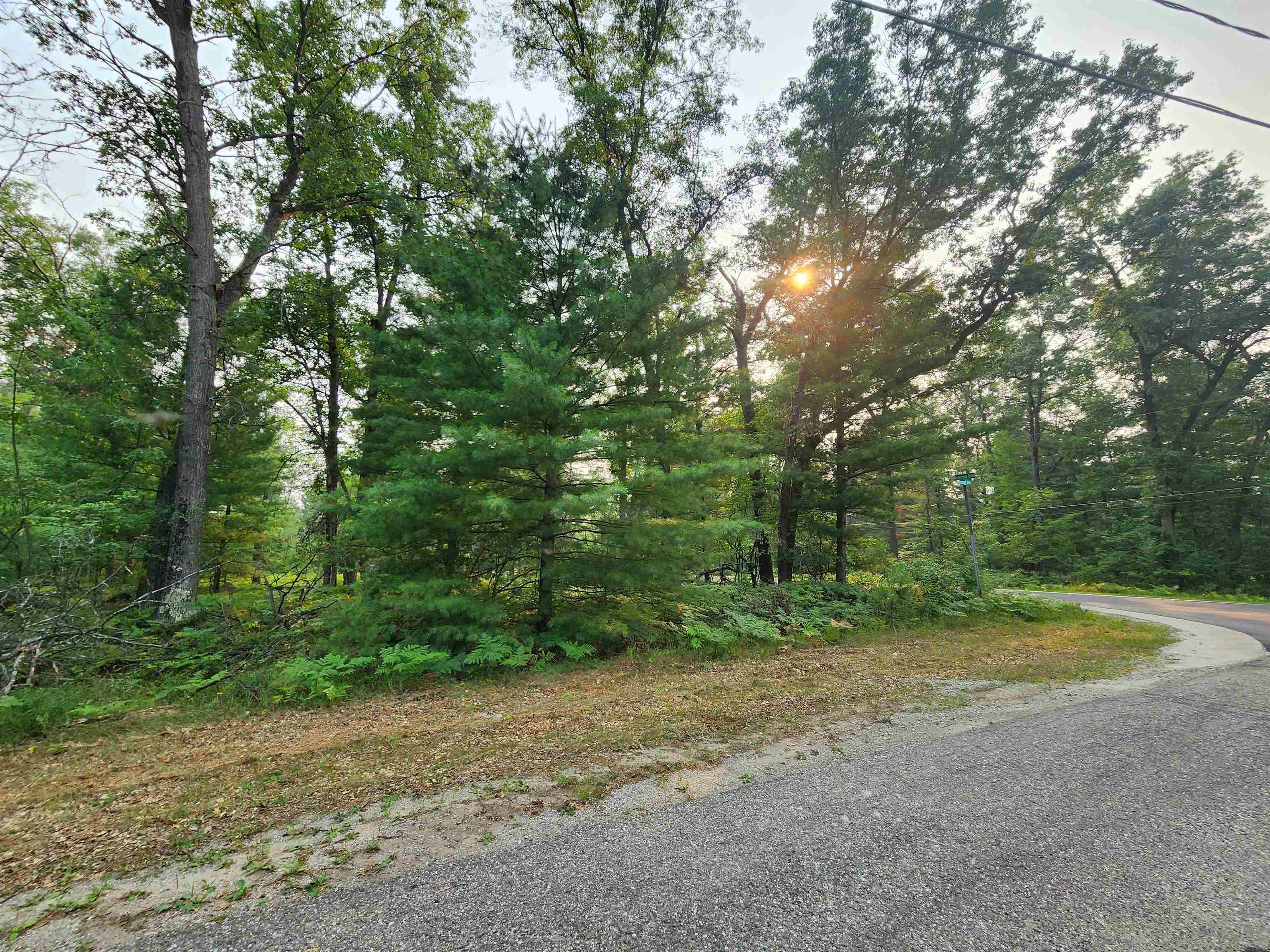 Lot 98 Wilderness Drive, Alger MI 48610 photo 1
