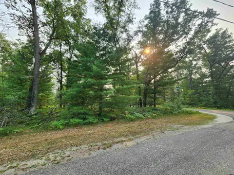 Lot 98 Wilderness Drive, Alger MI 48610 photo 1
