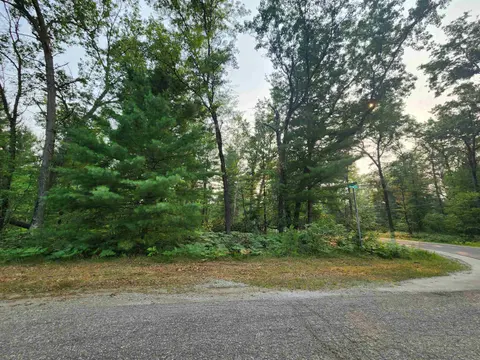 Lot 98 Wilderness Drive, Alger MI 48610 photo 2