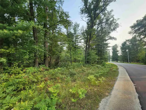 Lot 98 Wilderness Drive, Alger MI 48610 photo 3