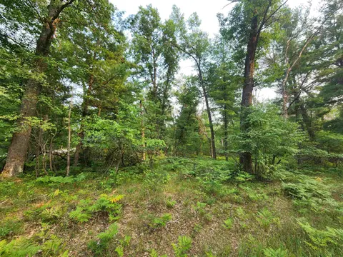 Lot 98 Wilderness Drive, Alger MI 48610 photo 4