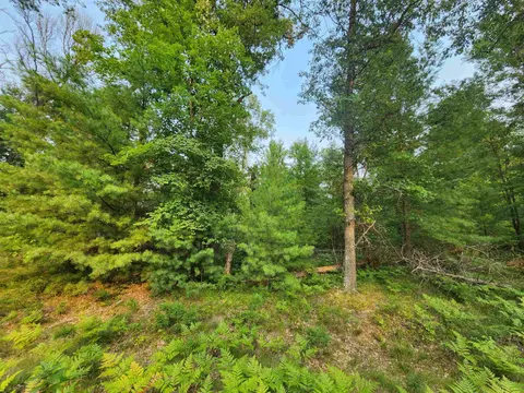 Lot 98 Wilderness Drive, Alger MI 48610 photo 5