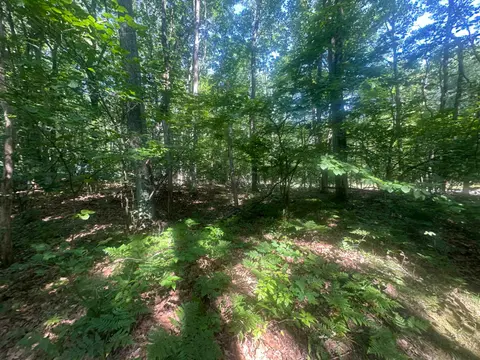 Lot#179 Mockingbird Circle Road, Farwell MI 48622 photo 2
