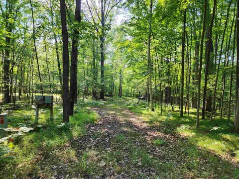5296 Fawn Terrace, Farwell MI 48622 photo 3