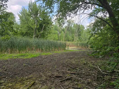 W Munger Road, Bay City MI 48708 photo 3