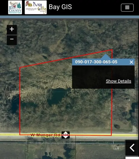 W Munger Road, Bay City MI 48708 photo 4