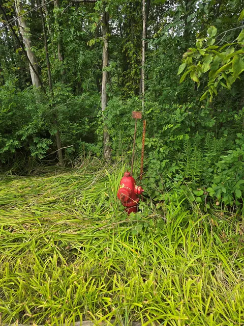 W Munger Road, Bay City MI 48708 photo 5