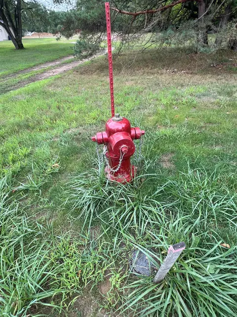 TBD Murphy Street, Coleman MI 48618 photo 3