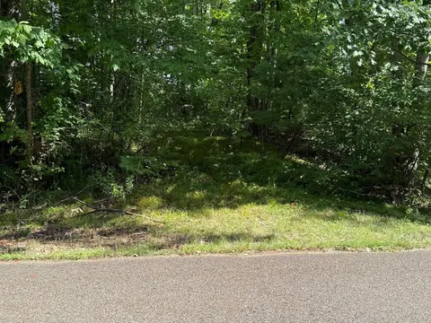 Lot 5 Hawthorne Street, Harrison MI 48625 photo 2
