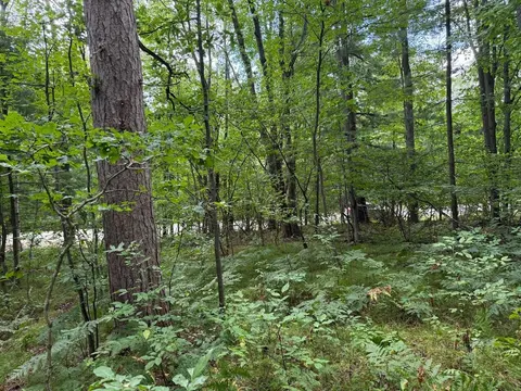 Lot 5 Hawthorne Street, Harrison MI 48625 photo 3