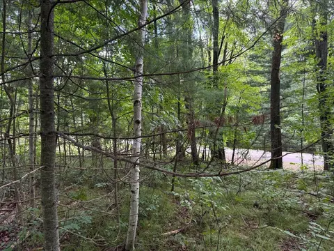 Lot 5 Hawthorne Street, Harrison MI 48625 photo 4