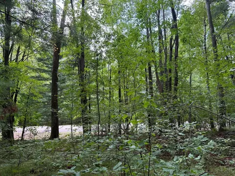 Lot 5 Hawthorne Street, Harrison MI 48625 photo 5