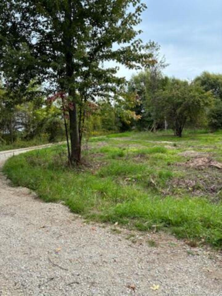 TBD Vicky Drive, Port Hope MI 48468 photo 1