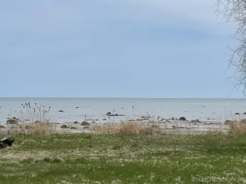 TBD Vicky Drive, Port Hope MI 48468 photo 3