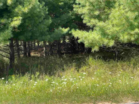 194 Lexington Avenue, Gladwin MI 48624 photo 5