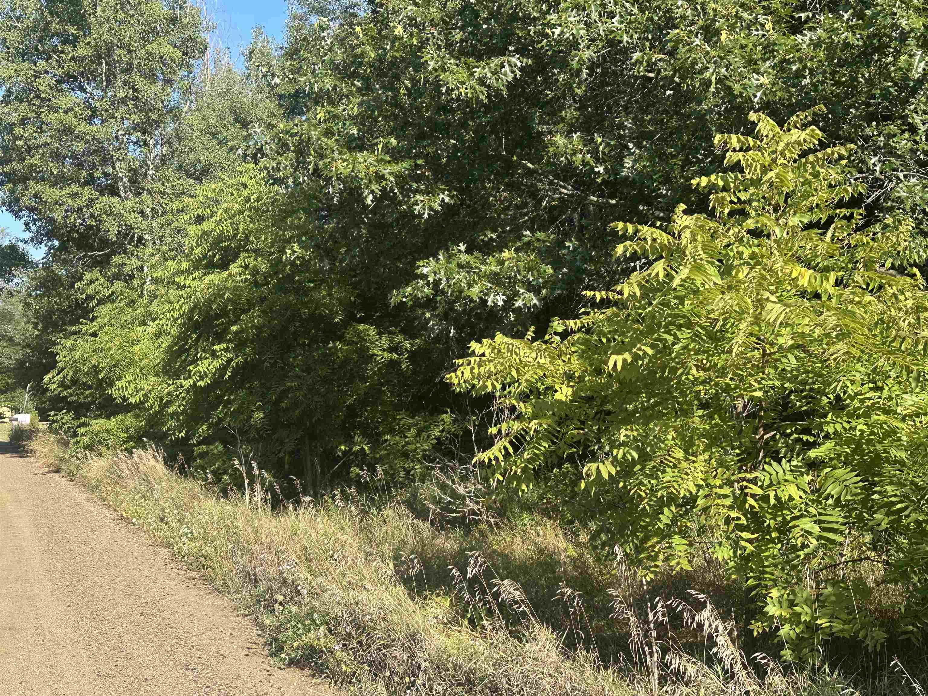 Lot 26-30 Willow Street, Lake MI 48632 photo 1