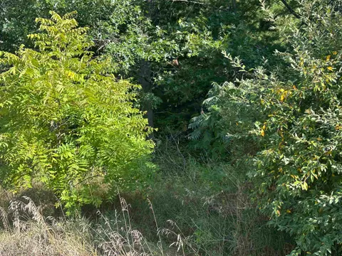 Lot 26-30 Willow Street, Lake MI 48632 photo 5