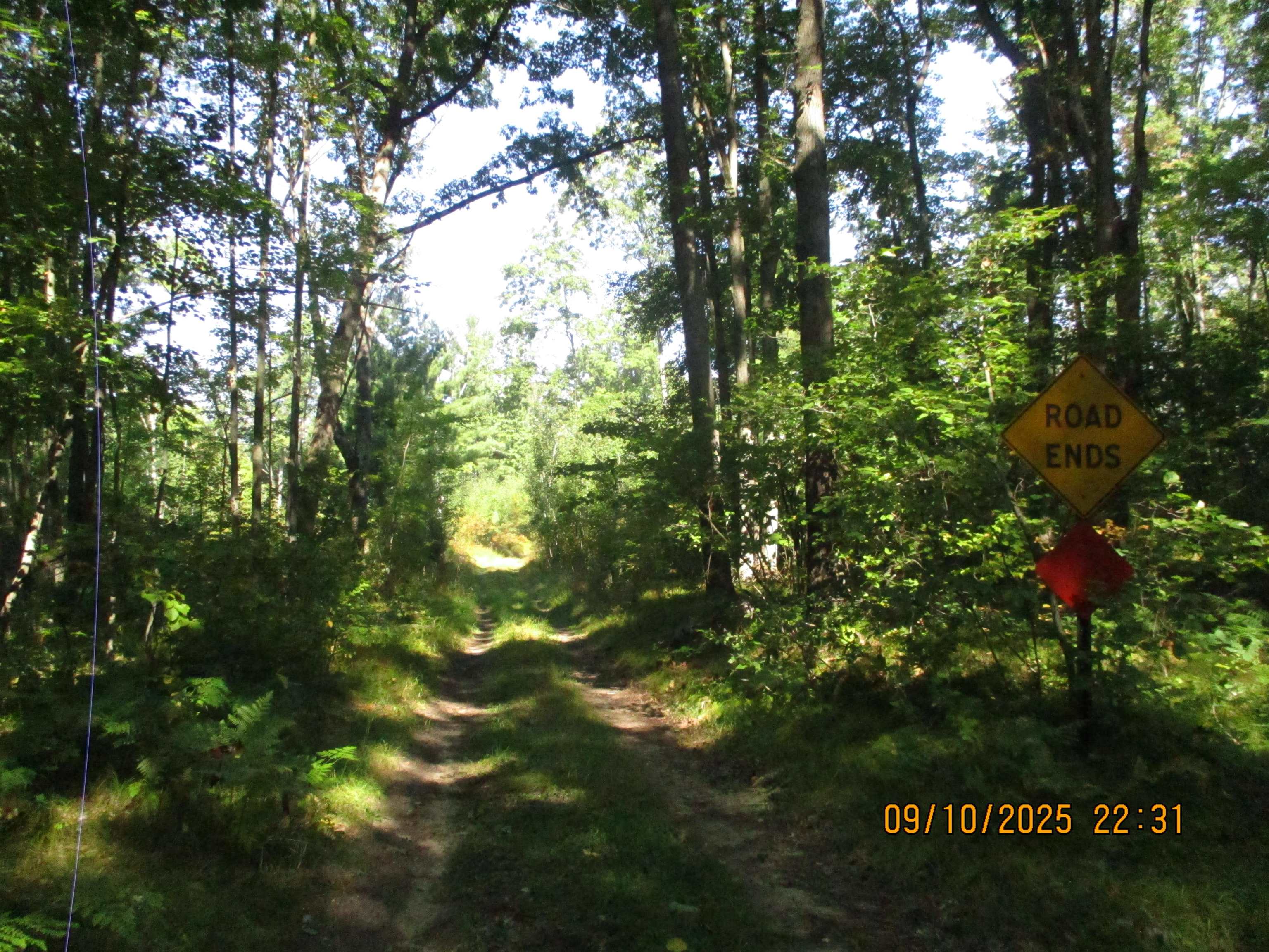 00 Firelane Trail, Lake George MI 48633 photo 1